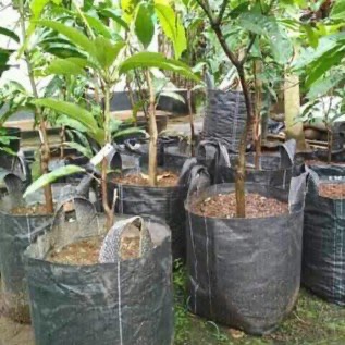 PLANTER BAG