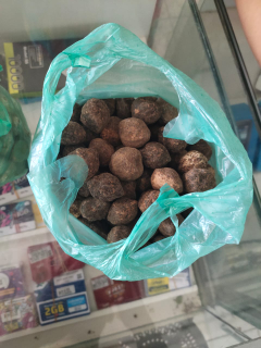 KEMIRI CANGKANG MEDAN