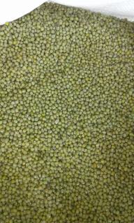 Kacang hijau buat tauge / kecambah
