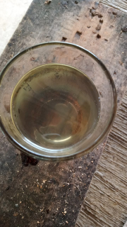 jual minyak kelapa murni