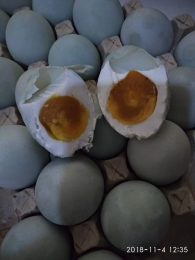 telur asin masir