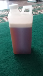 madu hutan