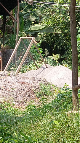 Jual Kohe Ayam Telur Murni Dan Serutan Gergaji