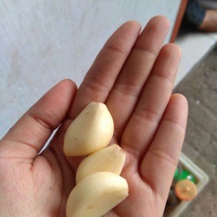 Jual bawang putih Impor atau lokal langsung tangan pertama
