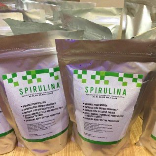 Jual Spirulina flakes/ Powder/ Pakan Spirulina Ikan Hias