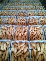 Jual Ubi Cilembu kualitas terbaik