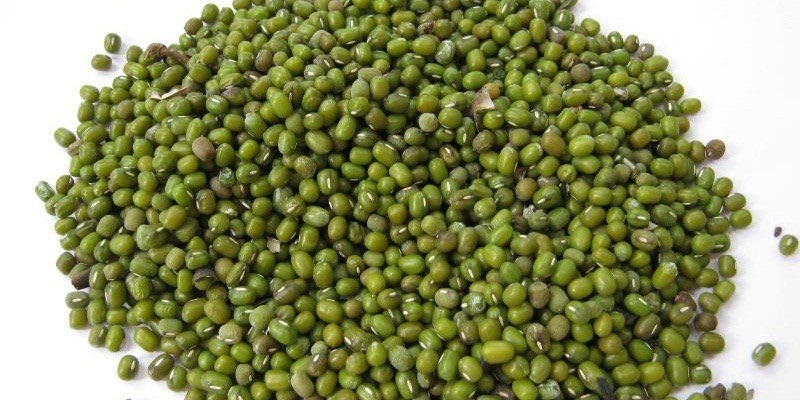 Kacang Hijau