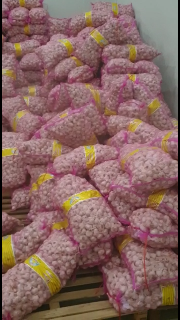 ready bawang putih