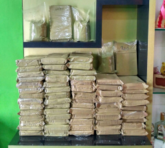 jual bubuk kratom