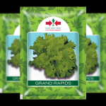 BENIH BIBIT SELADA GRAND RAPIDS F1