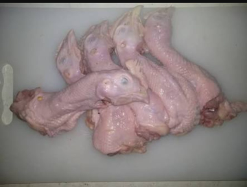 leher ayam