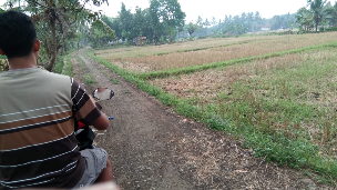 jual tanah sawah,kebun