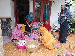 Jual Bawang Putih Kupas
