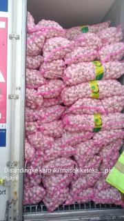 Bawang Putih