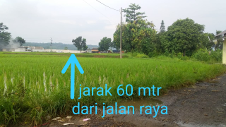 jual tanah