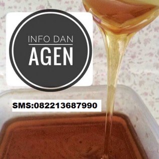 Madu Murni Habbatus Sauda