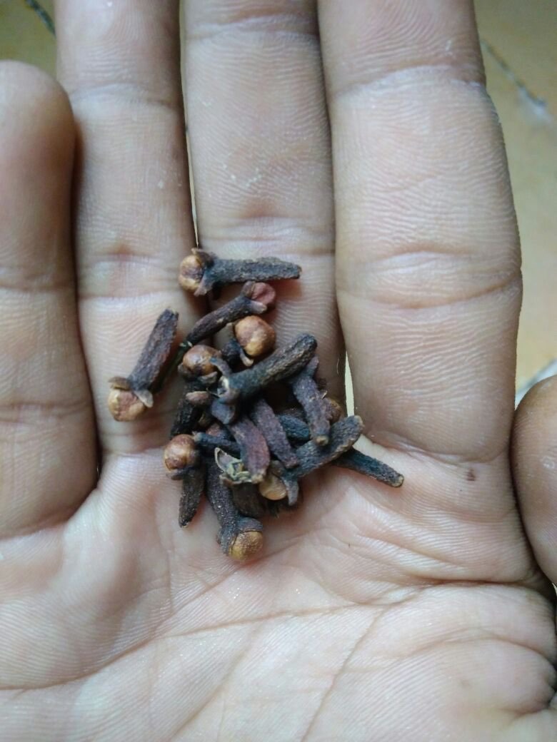 cengkeh kering