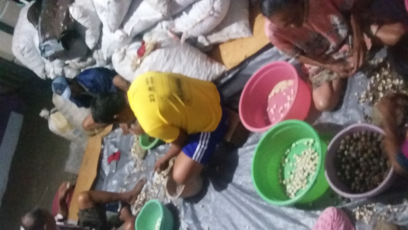 Jual kemiri kupas