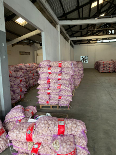 bawang putih