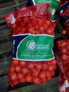 bawang bombai