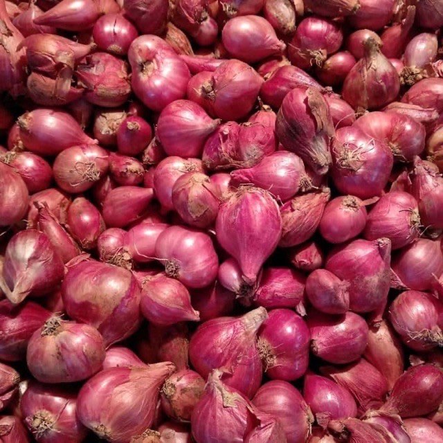 Suppli Bawang Merah