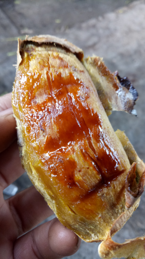 ubi madu Cilembu
