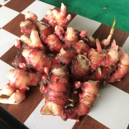 Jahe merah