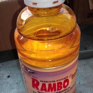 HEBISIDA RAMBO