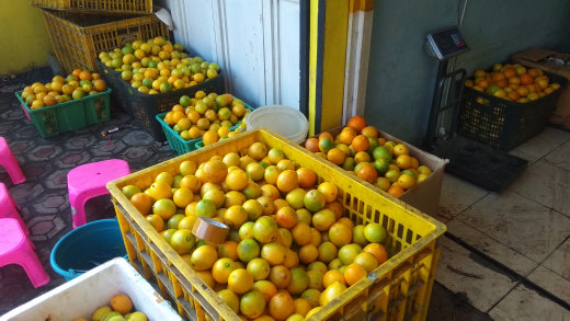 lemon california  lokal segar