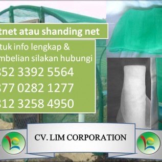 Produk Berkualitas Insectnet Atau Kassa