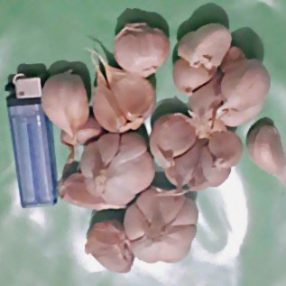 Bawang Putih Kating