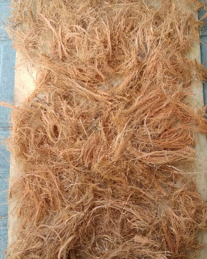 sabut kelapa