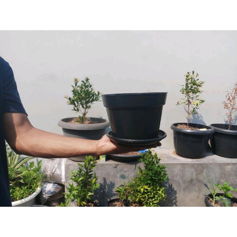 Pot Tanaman Hitam Polos