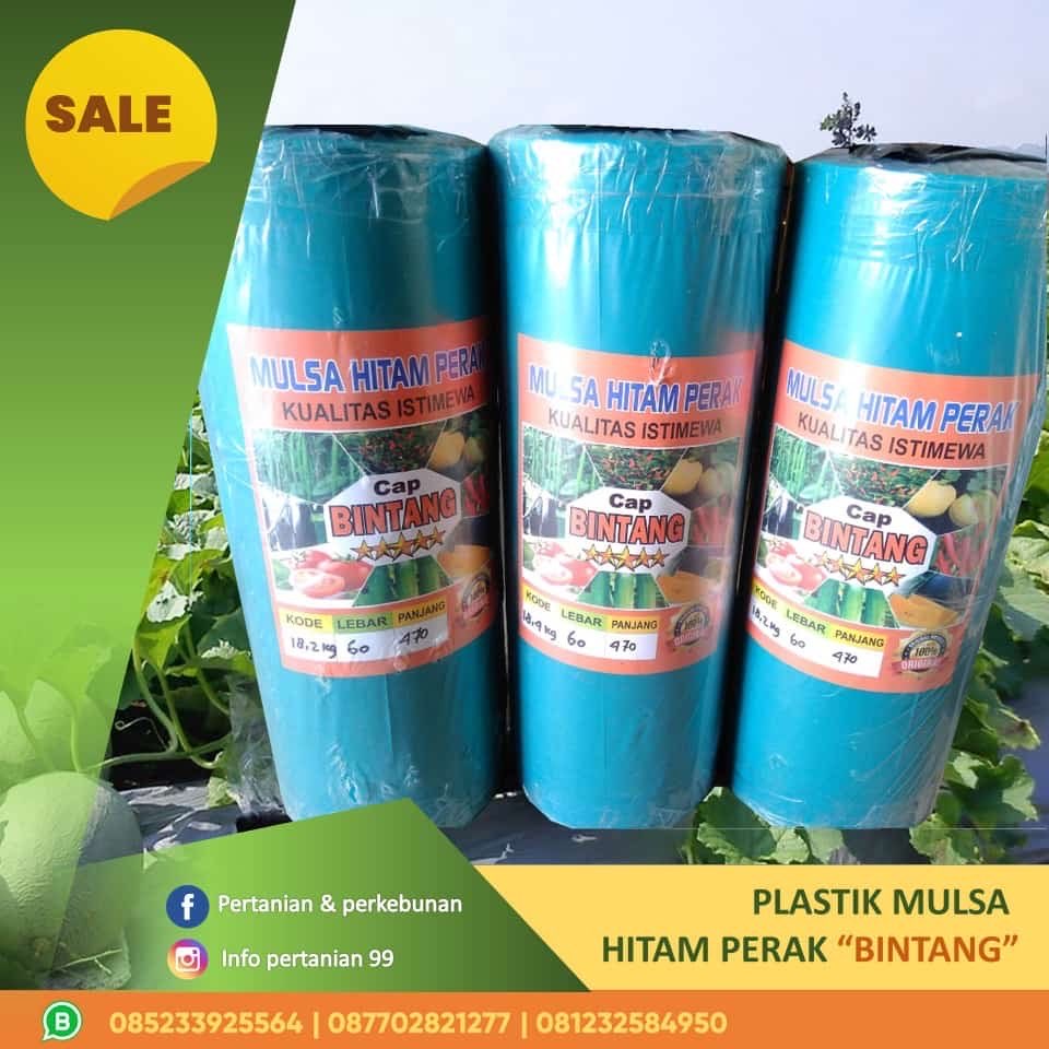 Mulsa Platik Hitam Perak Roll