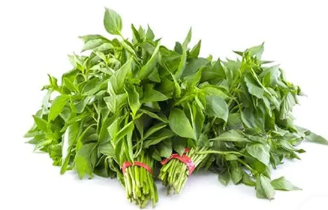 daun kemangi lalapan