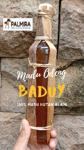 MADU ODENG, MADU LEBAH LIAR HUTAN BADUY