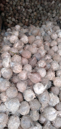 menjual Kelapa tua kualitas A B C