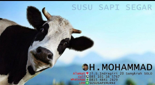 susu sapi segar fresh