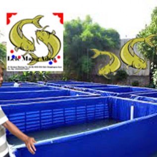 Lele Sangkuriang