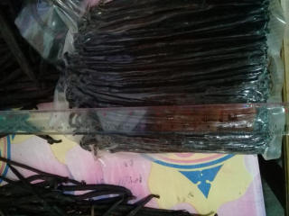 Vanili Tahiti Papua