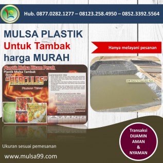 Jual Mulsa 