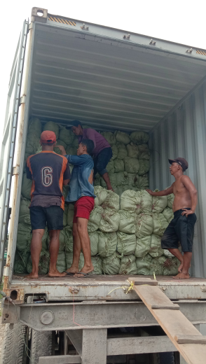 menjual lidi sawit
