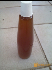 madu asli hutan