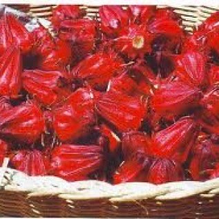 JUAL Rosela Merah