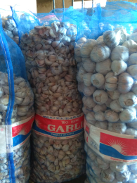 Bawang putih import China