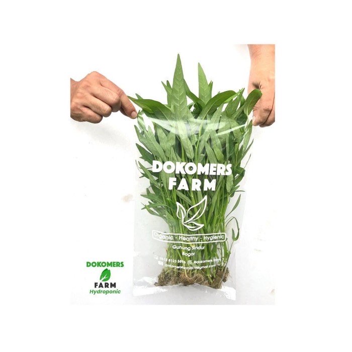 Sayur Kangkung Segar Hidroponik DOKOMERS FARM 250 gr