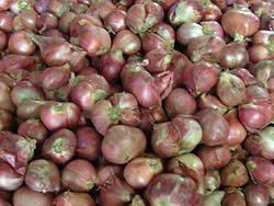 JUAL BAWANG MERAH & BAWANG PUTIH MURAH BERKUALITAS