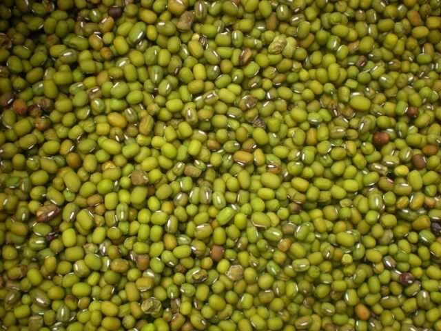 JUAL KACANG HIJAU, KEDELAI,KACANG TANAH MURAH BERKUALITAS 