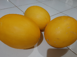 Golden Melon