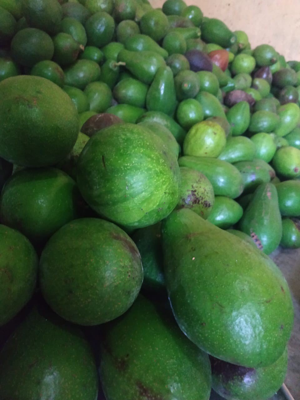 Alpokat matang alami tanpa bahan kimia atao etril